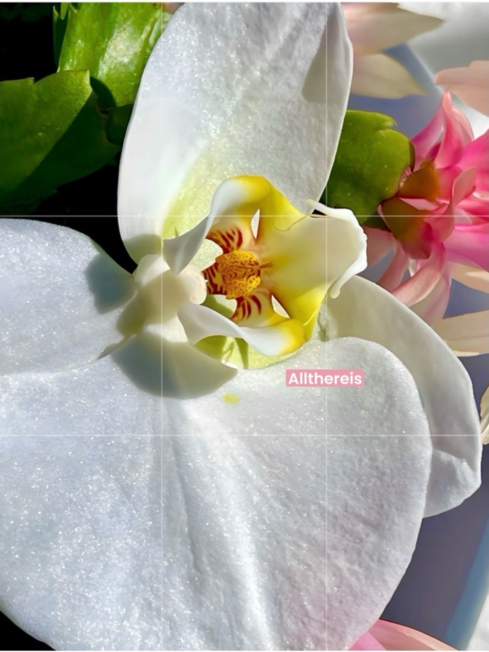 wear PINK  it’s a good month for it!!!